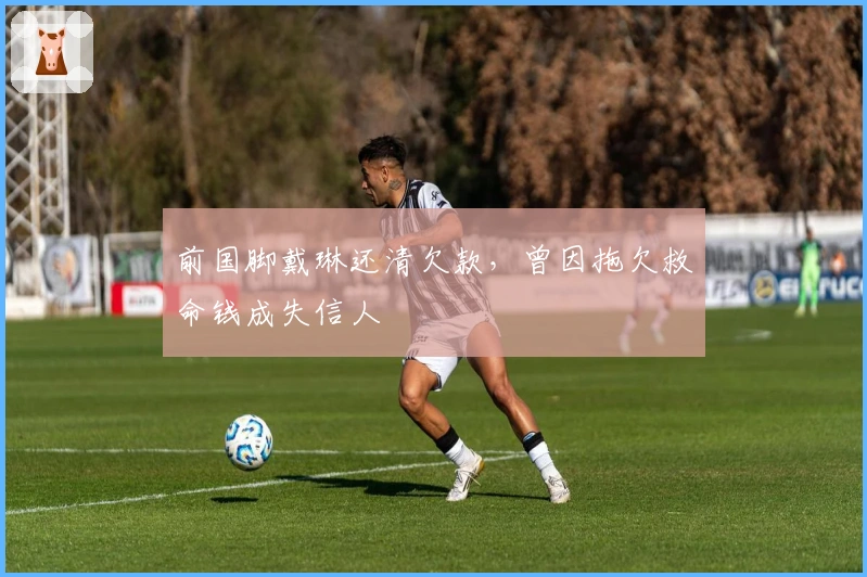 前国脚戴琳还清欠款,曾因拖欠救命钱成失信人