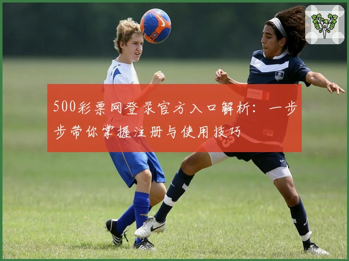 500彩票网登录官方入口解析：一步步带你掌握注册与使用技巧