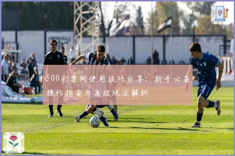 500彩票网使用技巧分享：新手必备操作指南与高效玩法解析